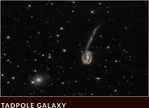 TADPOLE GALAXY
