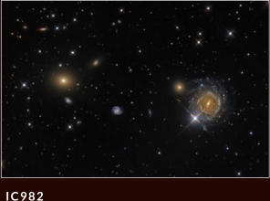 IC982