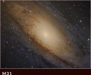 M31