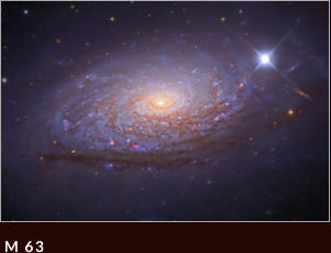 M 63