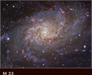 M 33