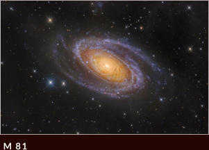 M 81